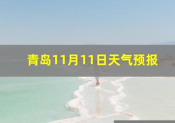 青岛11月11日天气预报