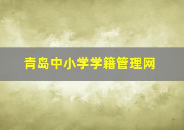 青岛中小学学籍管理网