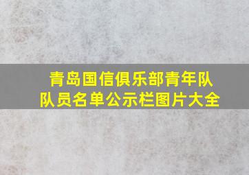 青岛国信俱乐部青年队队员名单公示栏图片大全