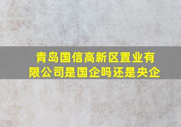 青岛国信高新区置业有限公司是国企吗还是央企