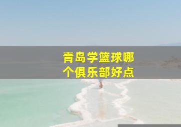 青岛学篮球哪个俱乐部好点