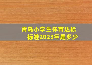 青岛小学生体育达标标准2023年是多少