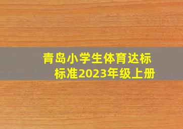 青岛小学生体育达标标准2023年级上册