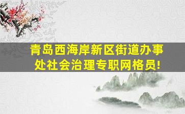 青岛西海岸新区街道办事处社会治理专职网格员!