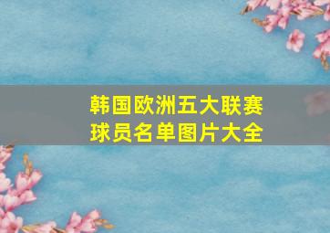 韩国欧洲五大联赛球员名单图片大全