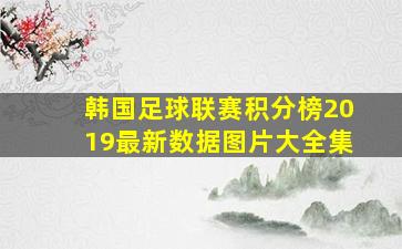 韩国足球联赛积分榜2019最新数据图片大全集