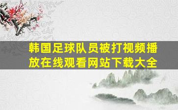 韩国足球队员被打视频播放在线观看网站下载大全