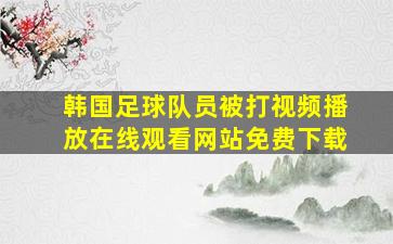 韩国足球队员被打视频播放在线观看网站免费下载