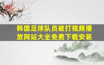 韩国足球队员被打视频播放网站大全免费下载安装