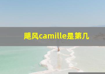 飓风camille是第几