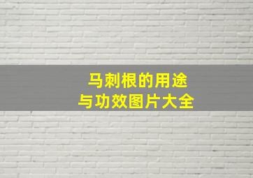 马刺根的用途与功效图片大全