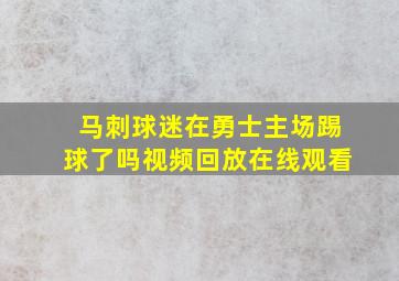 马刺球迷在勇士主场踢球了吗视频回放在线观看