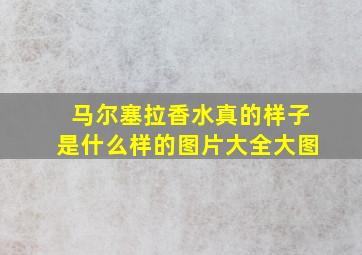 马尔塞拉香水真的样子是什么样的图片大全大图