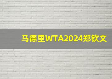 马德里WTA2024郑钦文