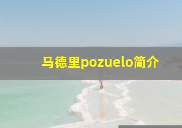 马德里pozuelo简介