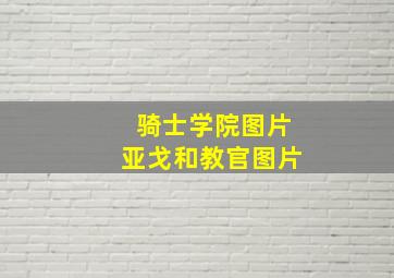 骑士学院图片亚戈和教官图片