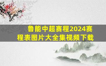 鲁能中超赛程2024赛程表图片大全集视频下载