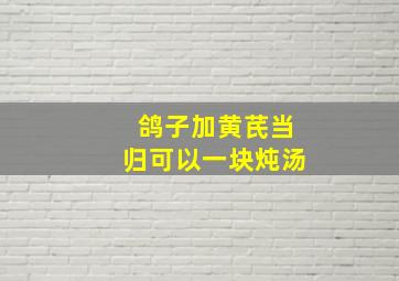 鸽子加黄芪当归可以一块炖汤