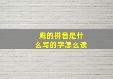 鹰的拼音是什么写的字怎么读