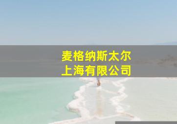 麦格纳斯太尔上海有限公司