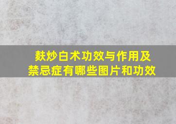 麸炒白术功效与作用及禁忌症有哪些图片和功效