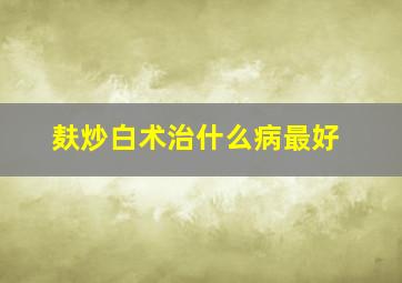 麸炒白术治什么病最好