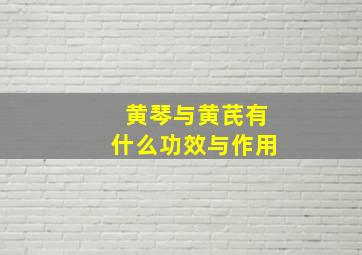 黄琴与黄芪有什么功效与作用