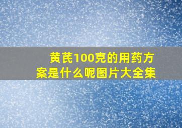 黄芪100克的用药方案是什么呢图片大全集