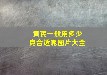 黄芪一般用多少克合适呢图片大全