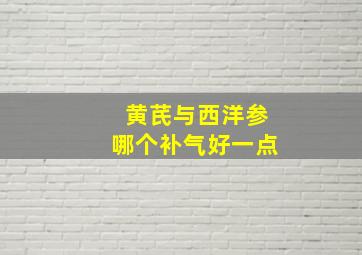 黄芪与西洋参哪个补气好一点