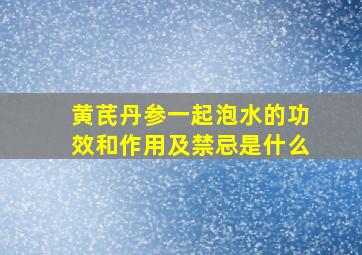 黄芪丹参一起泡水的功效和作用及禁忌是什么