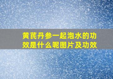 黄芪丹参一起泡水的功效是什么呢图片及功效