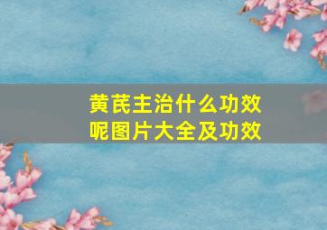 黄芪主治什么功效呢图片大全及功效