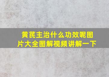 黄芪主治什么功效呢图片大全图解视频讲解一下