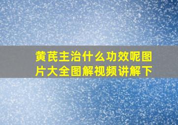 黄芪主治什么功效呢图片大全图解视频讲解下