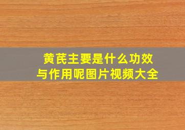 黄芪主要是什么功效与作用呢图片视频大全