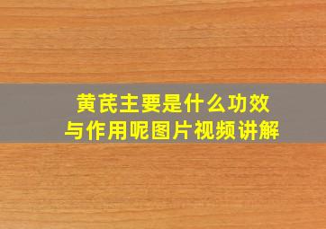 黄芪主要是什么功效与作用呢图片视频讲解