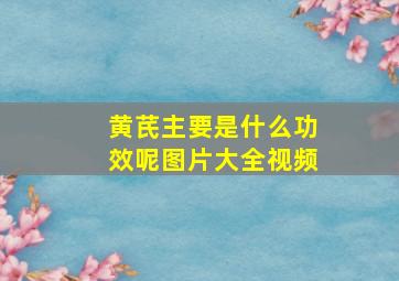 黄芪主要是什么功效呢图片大全视频