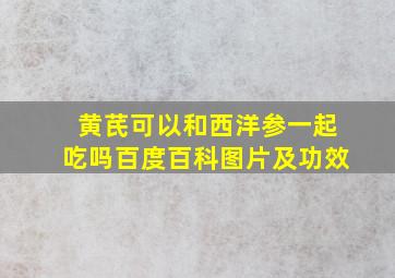 黄芪可以和西洋参一起吃吗百度百科图片及功效