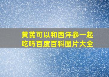 黄芪可以和西洋参一起吃吗百度百科图片大全