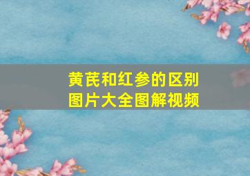 黄芪和红参的区别图片大全图解视频