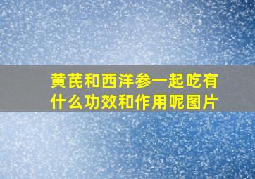 黄芪和西洋参一起吃有什么功效和作用呢图片