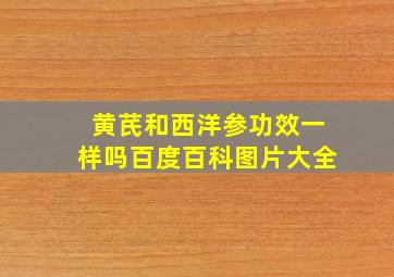 黄芪和西洋参功效一样吗百度百科图片大全