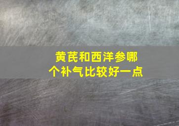 黄芪和西洋参哪个补气比较好一点