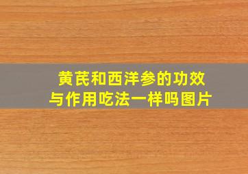 黄芪和西洋参的功效与作用吃法一样吗图片