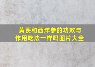 黄芪和西洋参的功效与作用吃法一样吗图片大全