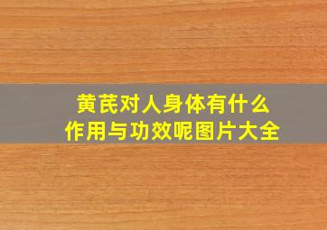 黄芪对人身体有什么作用与功效呢图片大全