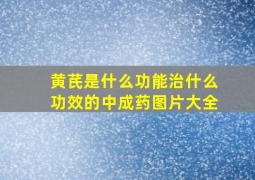 黄芪是什么功能治什么功效的中成药图片大全