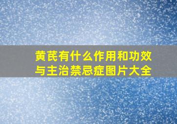 黄芪有什么作用和功效与主治禁忌症图片大全