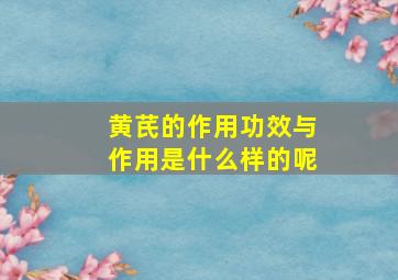 黄芪的作用功效与作用是什么样的呢